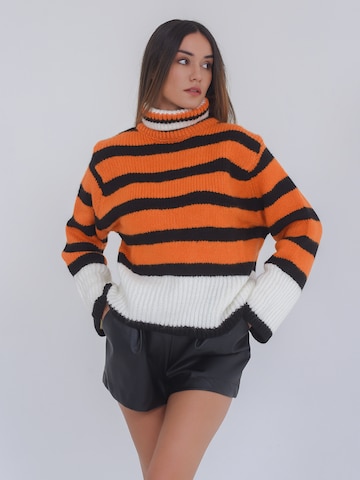 FRESHLIONS Sweater 'Astrid' in Orange: front