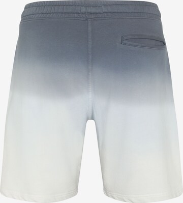 CHIEMSEE Regular Workout Pants in Blue