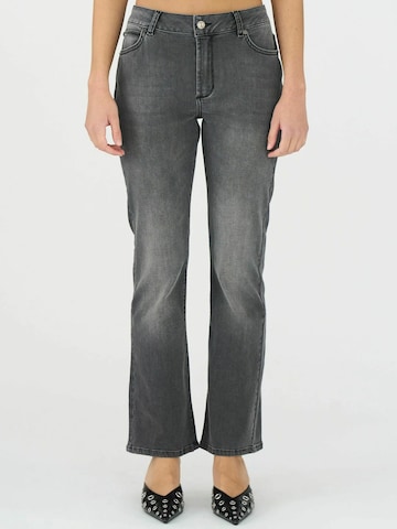 Ivy Copenhagen regular Jeans 'Johanna' i grå: forside