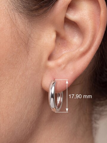 Jobo Earrings in Silver