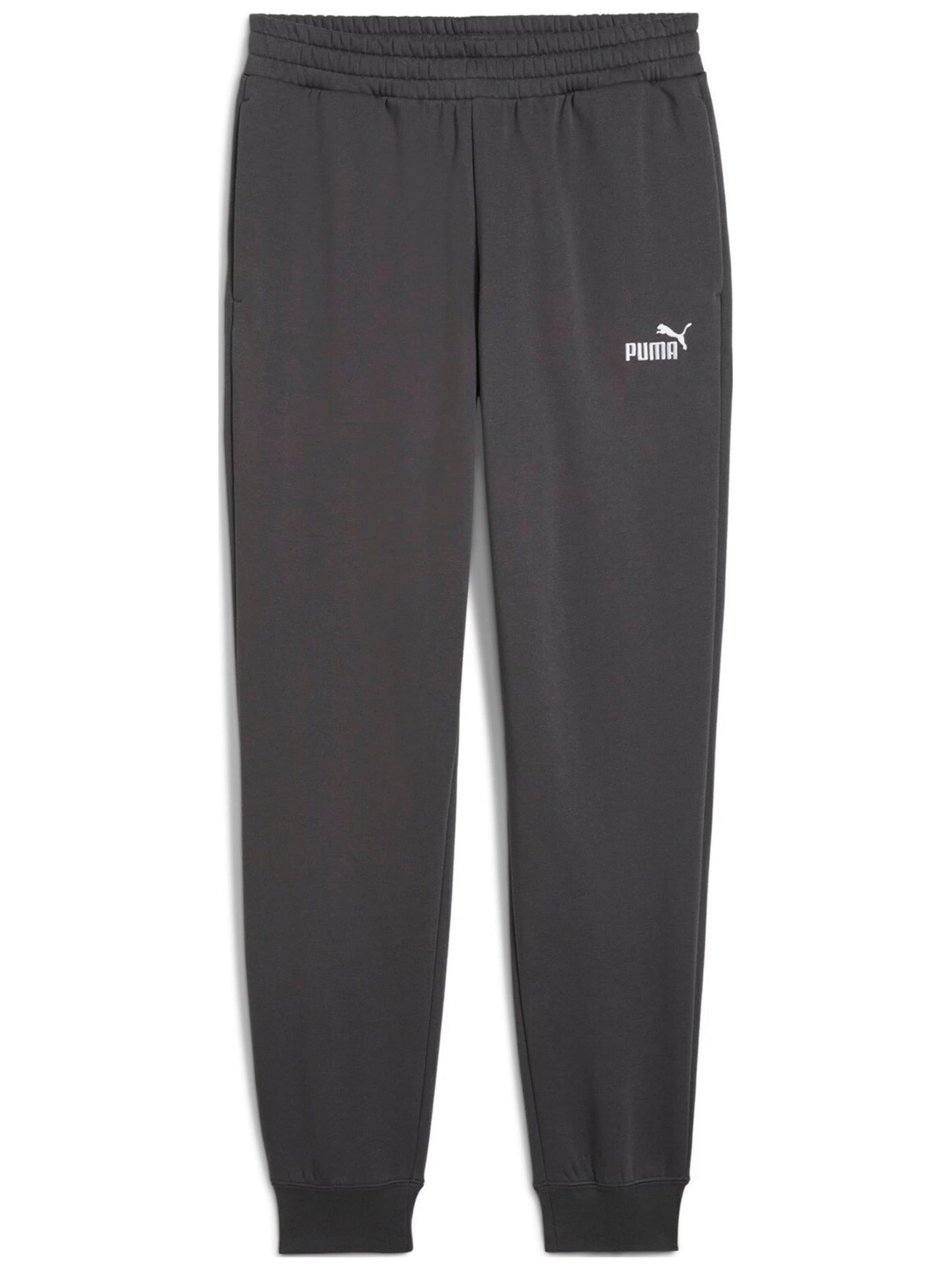 regular Pantaloni sportivi 'Puma Ess No. 1 Logo Sweatpants Fl Cl S' di PUMA in grigio: frontale