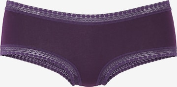 LASCANA Boyshorts in Purple: front