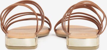 Kazar Strap sandal in Brown