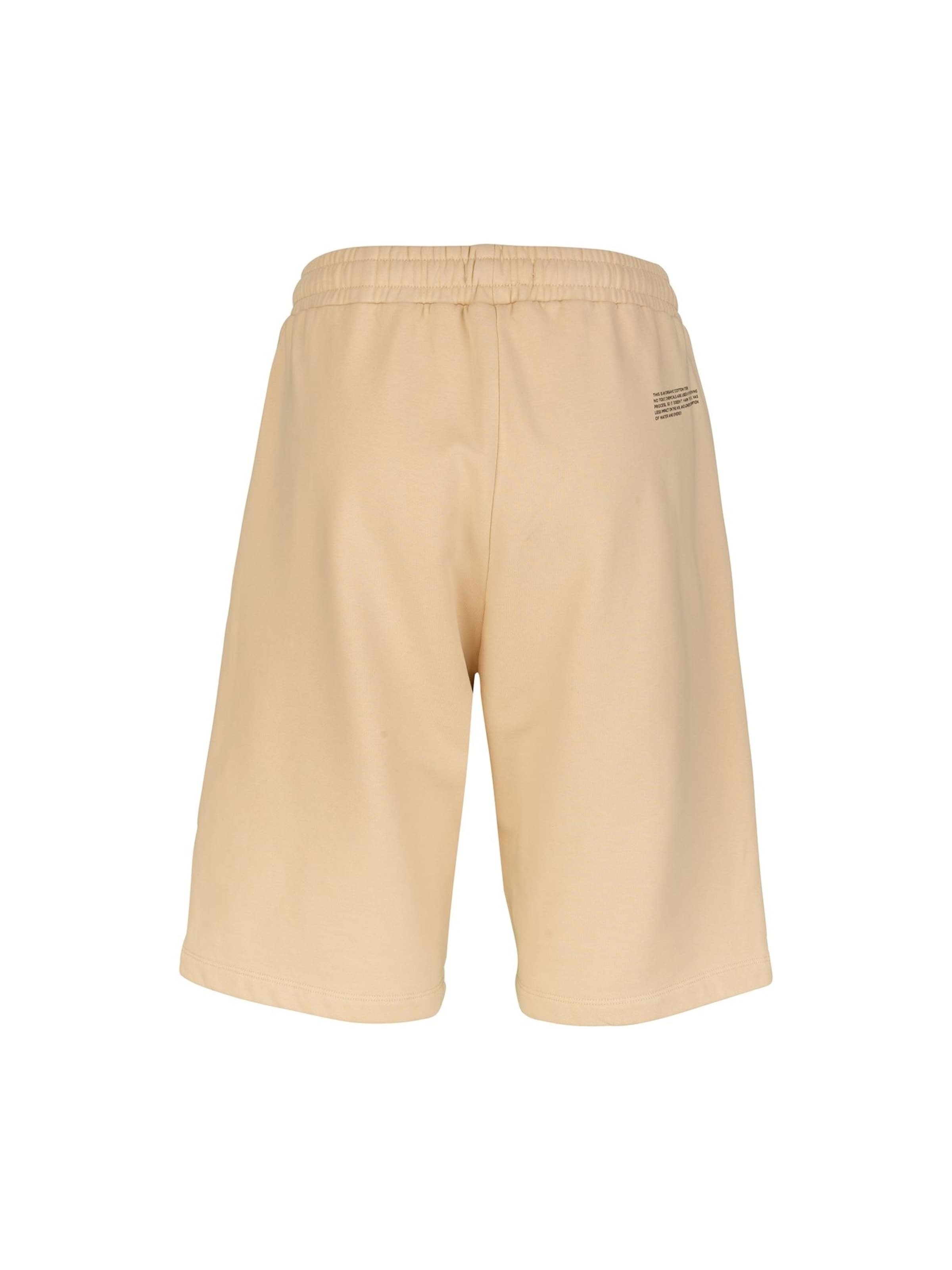REPLAY Regular Shorts in Beige
