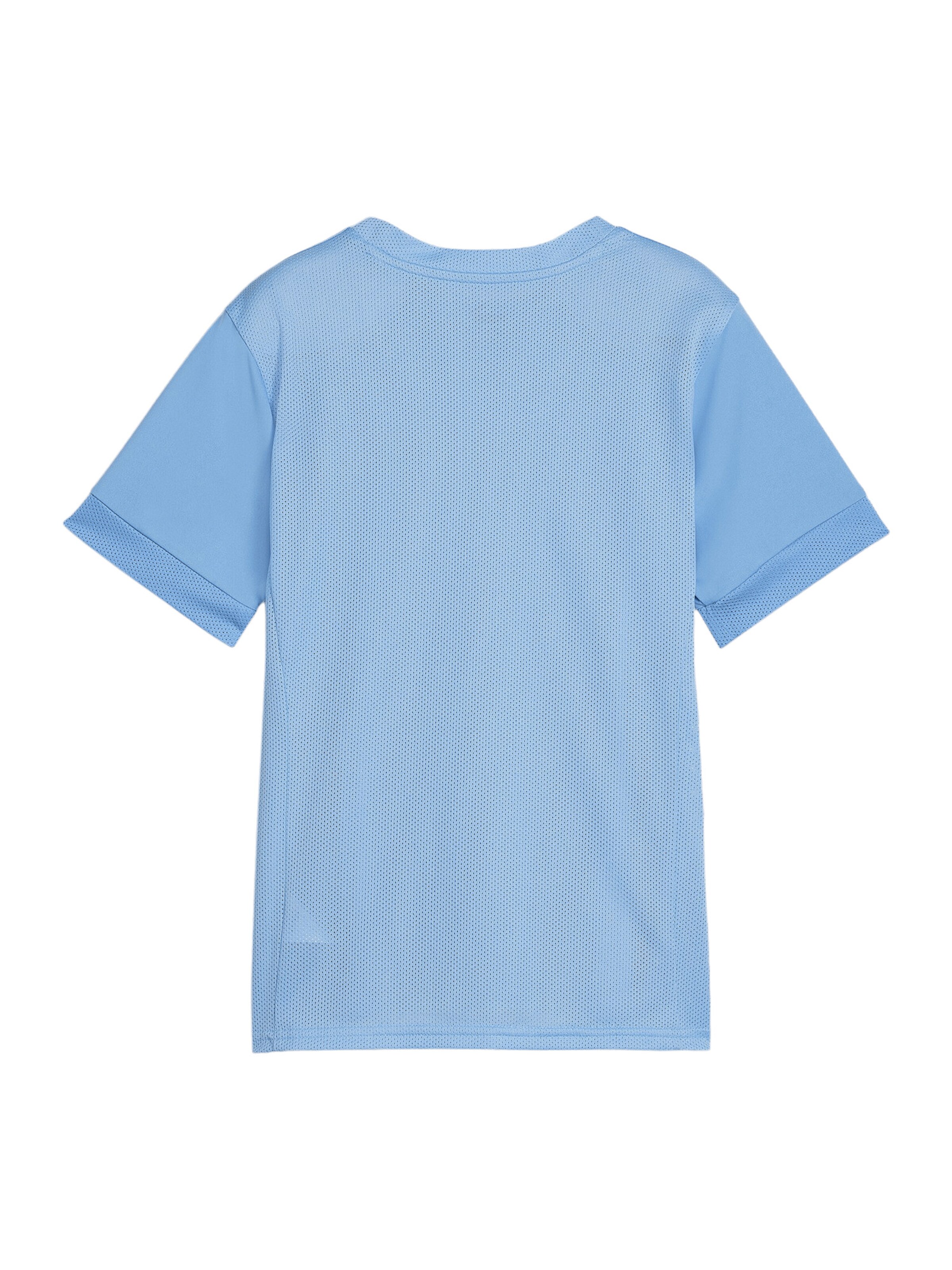 PUMA Funktionsshirt in Blau