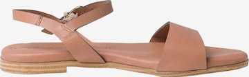 TAMARIS Strap Sandals in Brown