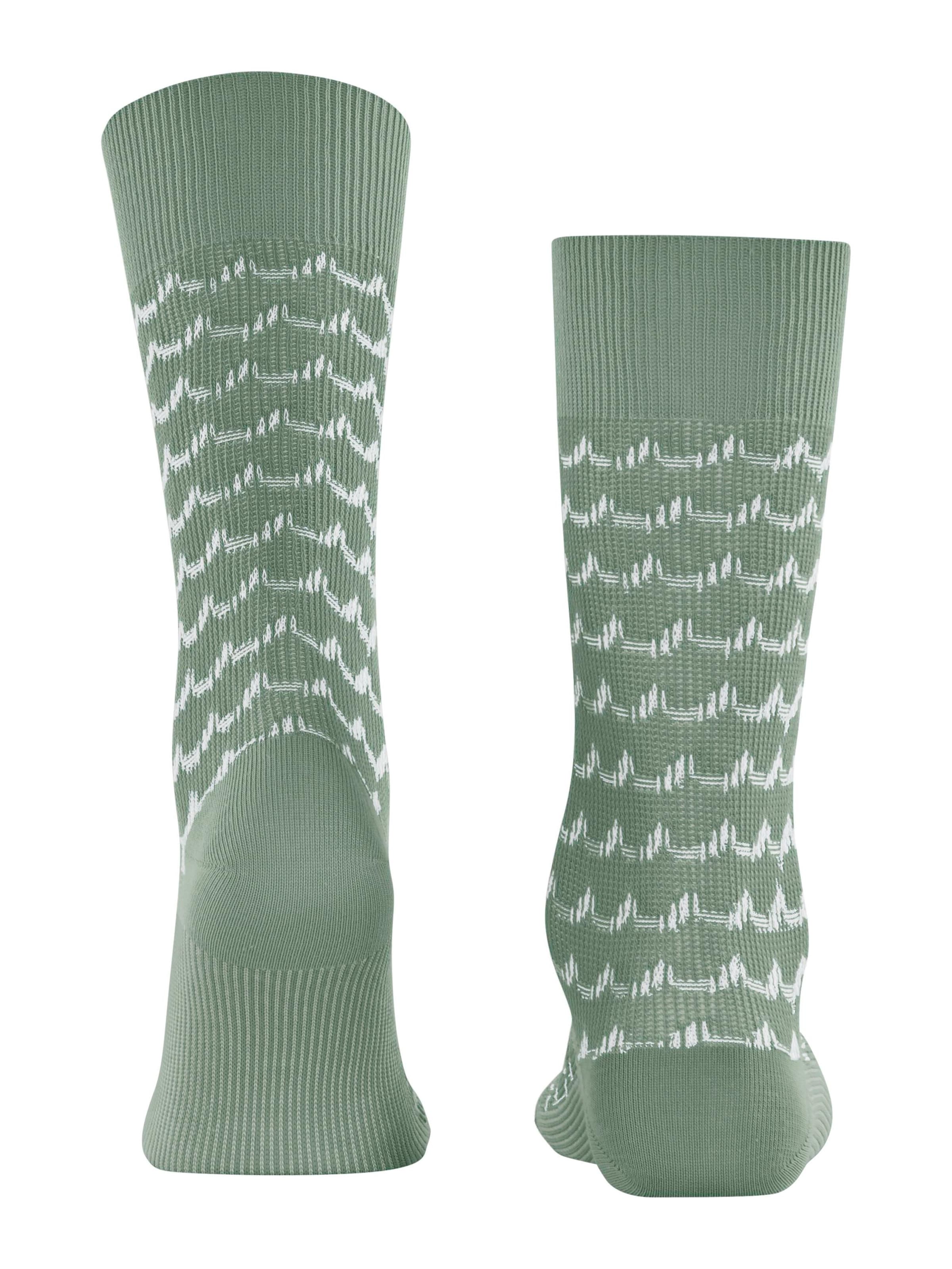 FALKE Socks 'Sea Rock' in Green