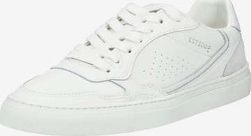 Baskets basses PAVEMENT en blanc : devant
