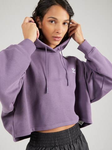 ADIDAS ORIGINALS - Pullover desportivo 'Adicolor Classics' em roxo