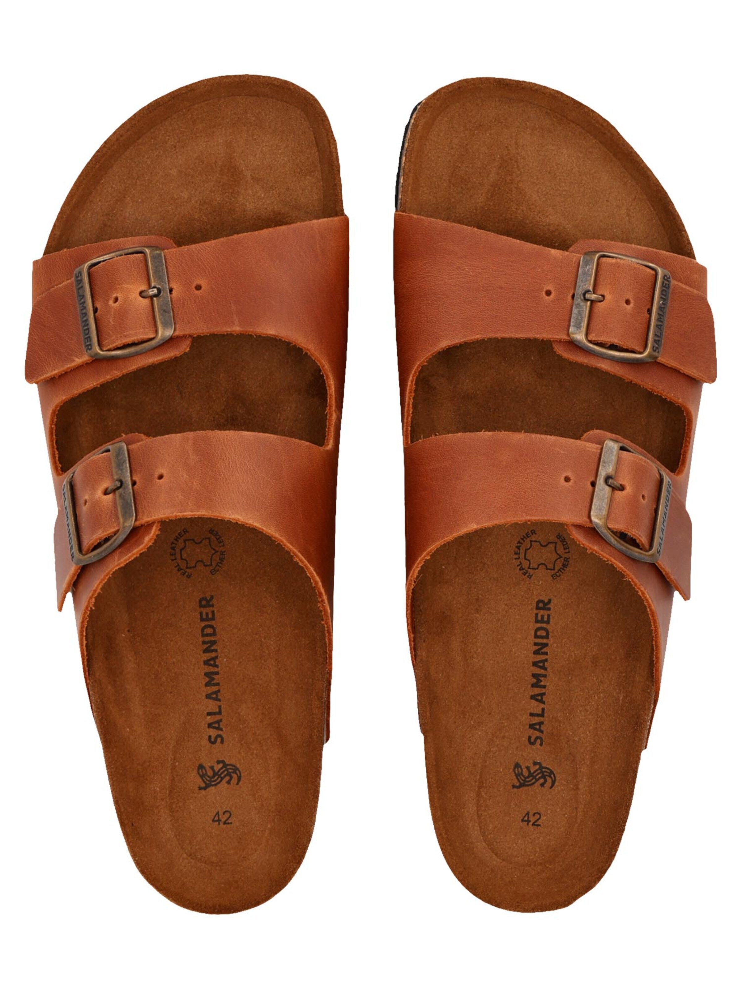 SALAMANDER Mules 'Basic' in Brown