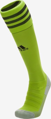 ADIDAS SPORTSWEAR Soccer Socks in Green: front