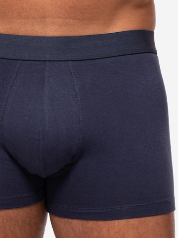Almonu Boxer shorts 'Cotton' in Blue