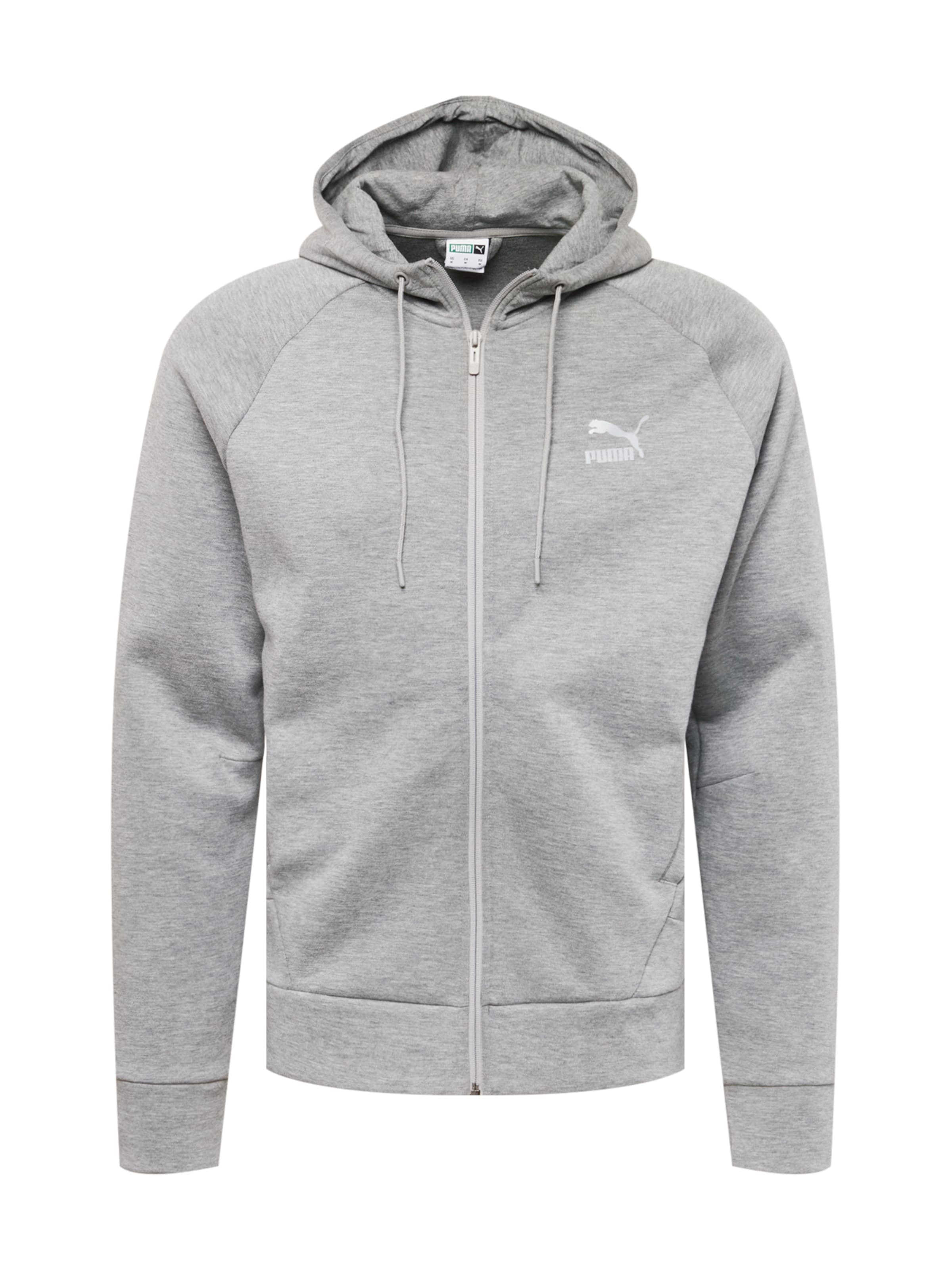 PUMA Zip-Up Hoodie in Grey: front