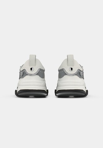 STEVE MADDEN - Sapatilhas baixas 'Possession' em branco