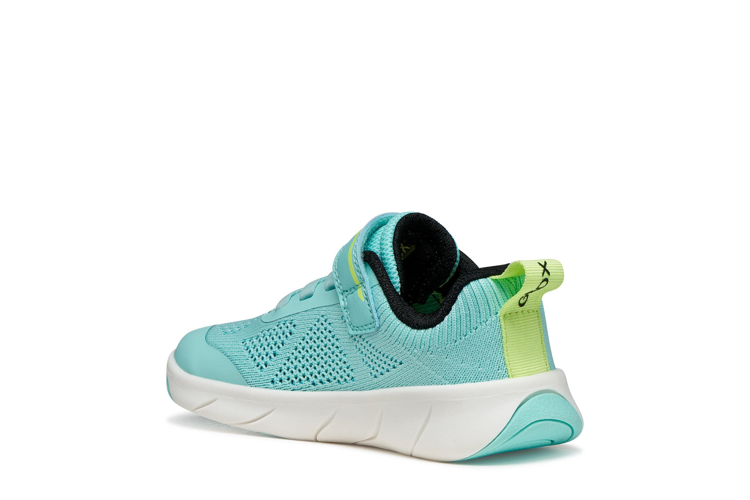 GEOX Sneakers in Blue