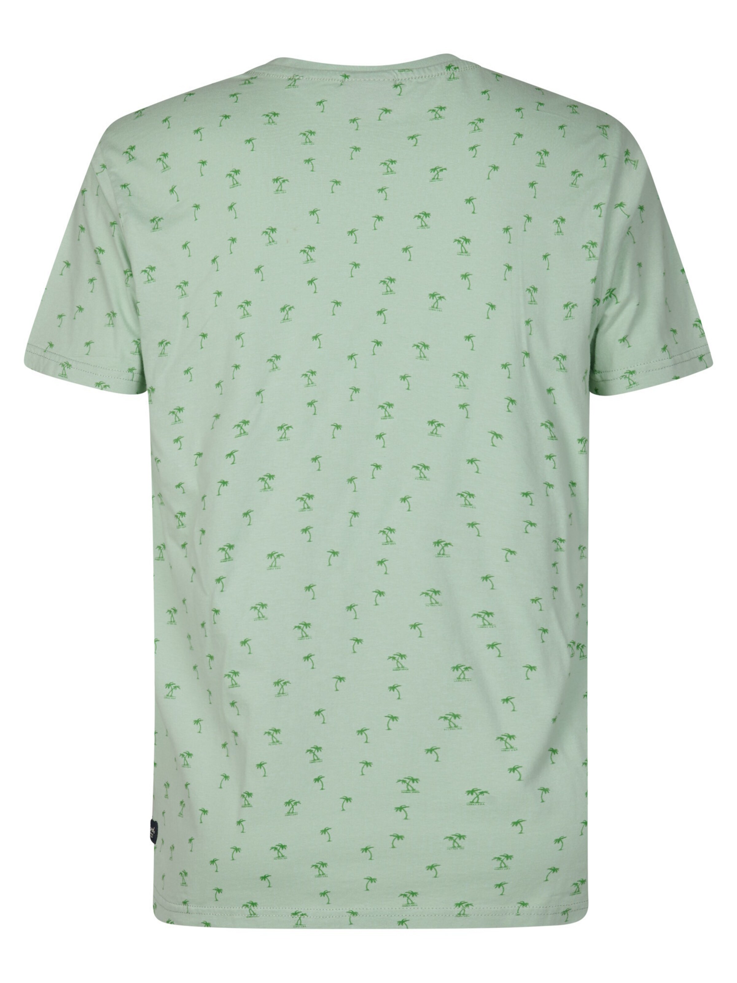 T-Shirt 'Serene' Petrol Industries en vert