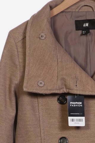 H&M Jacket & Coat in XL in Brown