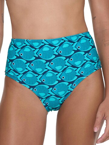 69Slam - Braga de bikini 'BRAGUITA BIKINI TALLE ALTO ALANA FISHES' en azul: frente