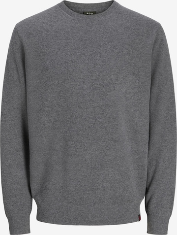 R.D.D. ROYAL DENIM DIVISION Pullover 'RDDBROOKS' i grå: forside