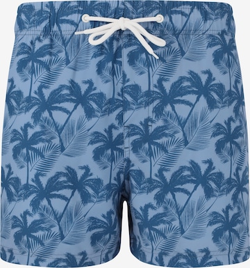 Cruz Board Shorts 'Werner' in Blue: front