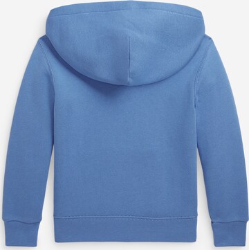 Polo Ralph Lauren Sweatshirt in Blau