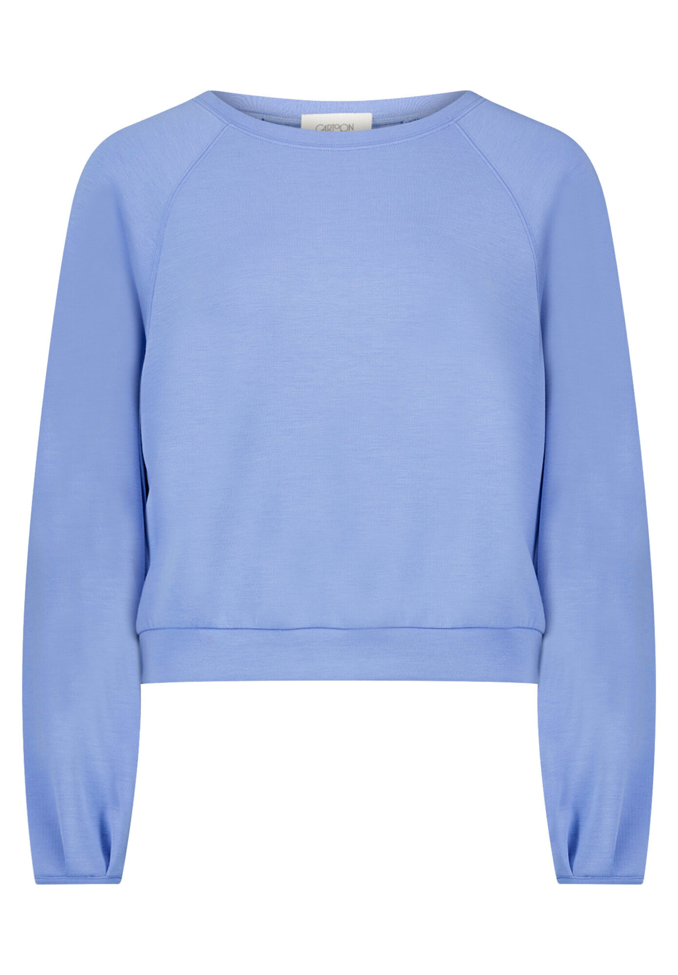 Cartoon Sweatshirt in Blauw: voorkant