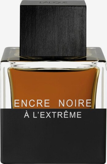 LALIQUE Eau de Parfum 'Encre Noire à l'Extrême' in transparent, Produktansicht