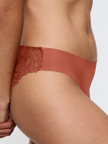 TRIUMPH Tai-Slip 'Red Label Pretty Micro' in Orange