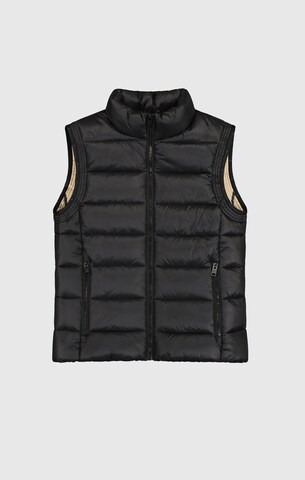Champion Authentic Athletic Apparel Vest in Black: front