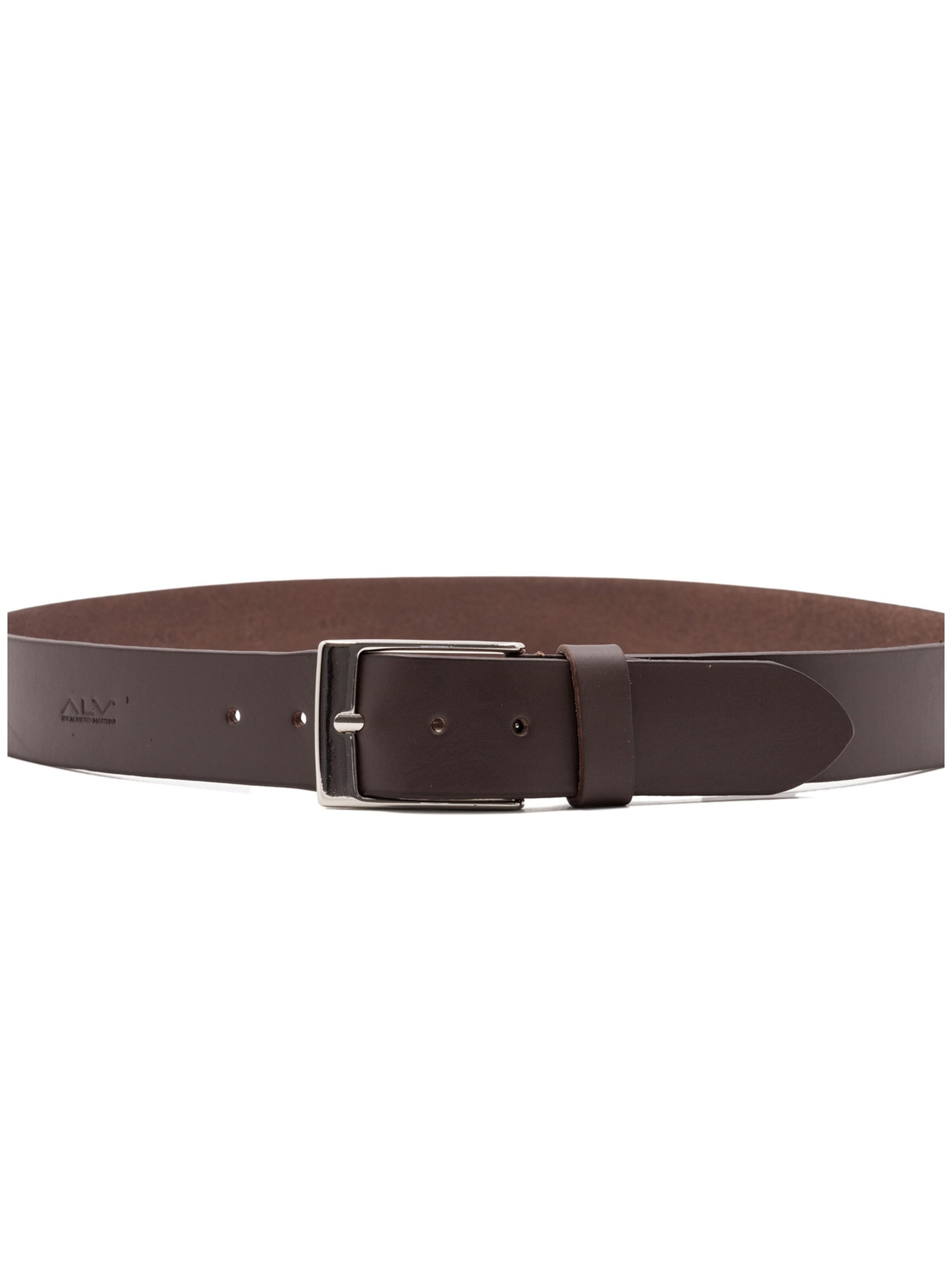 ALV By Alviero Martini Belt in Brown: front