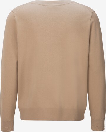 Tommy Hilfiger Curve Pullover in Beige