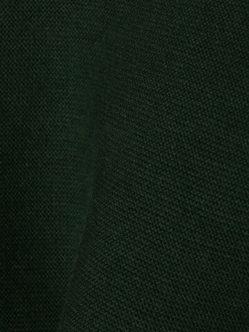 Franco Callegari Trui in Groen