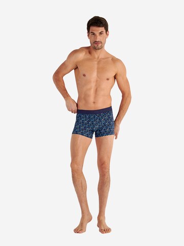 Boxers ' Elvis ' HOM en bleu