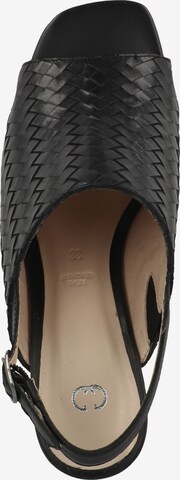 GERRY WEBER SHOES Sandals 'Sabrina 05' in Black