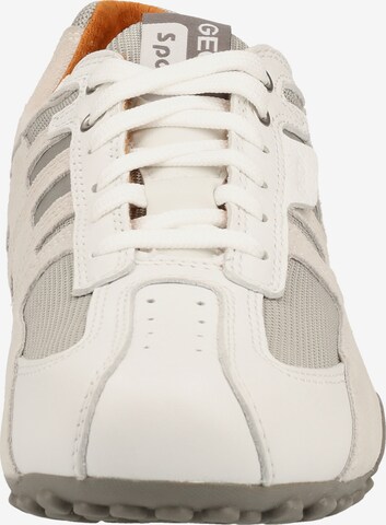 GEOX Sneakers in Beige