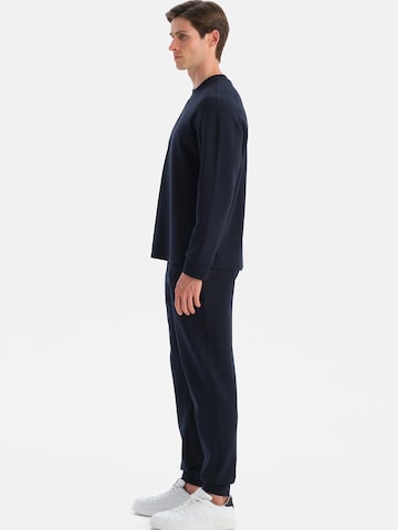 Dagi Sweatshirt in Blauw