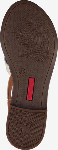 PIKOLINOS Strap Sandals in Brown