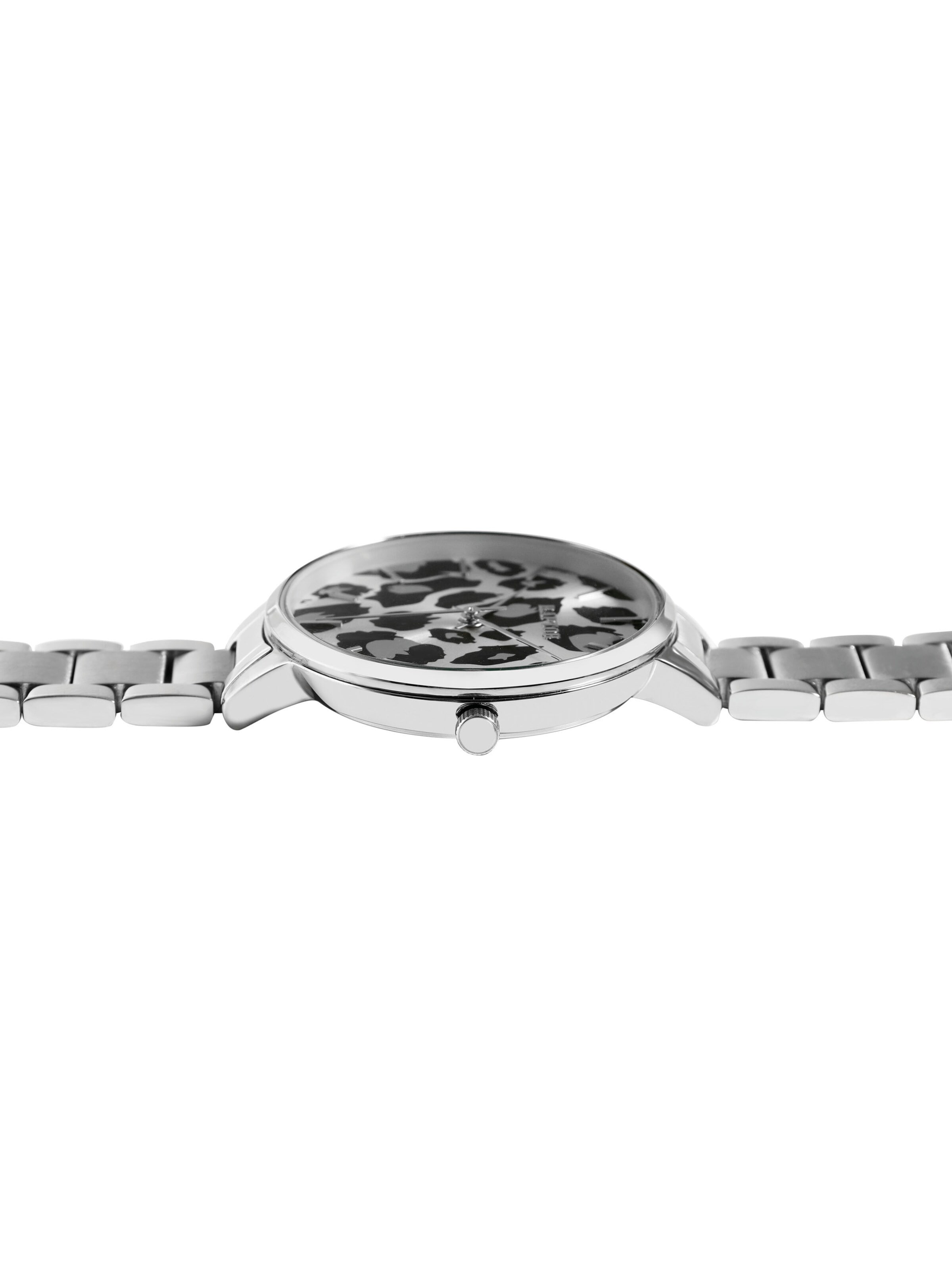 Raptor Analog Watch 'Wild, 3 ATM' in Silver