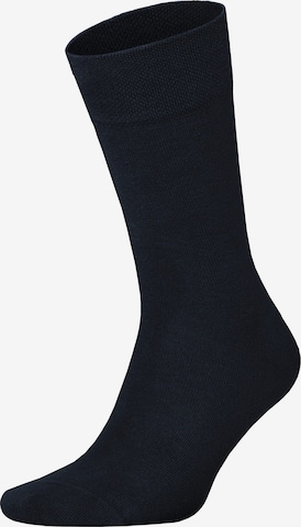 Hudson Socken 'Relax Cotton' in Blau: Vorderseite