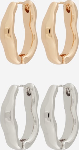 studioselect Korvakoru värissä kulta: etupuoli