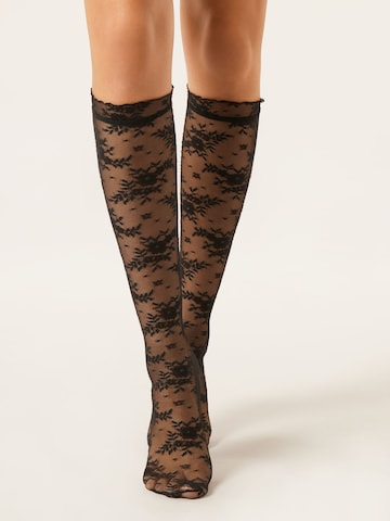 CALZEDONIA Fine Stockings in Black