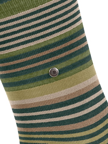 BURLINGTON Socks 'Stripe' in Green