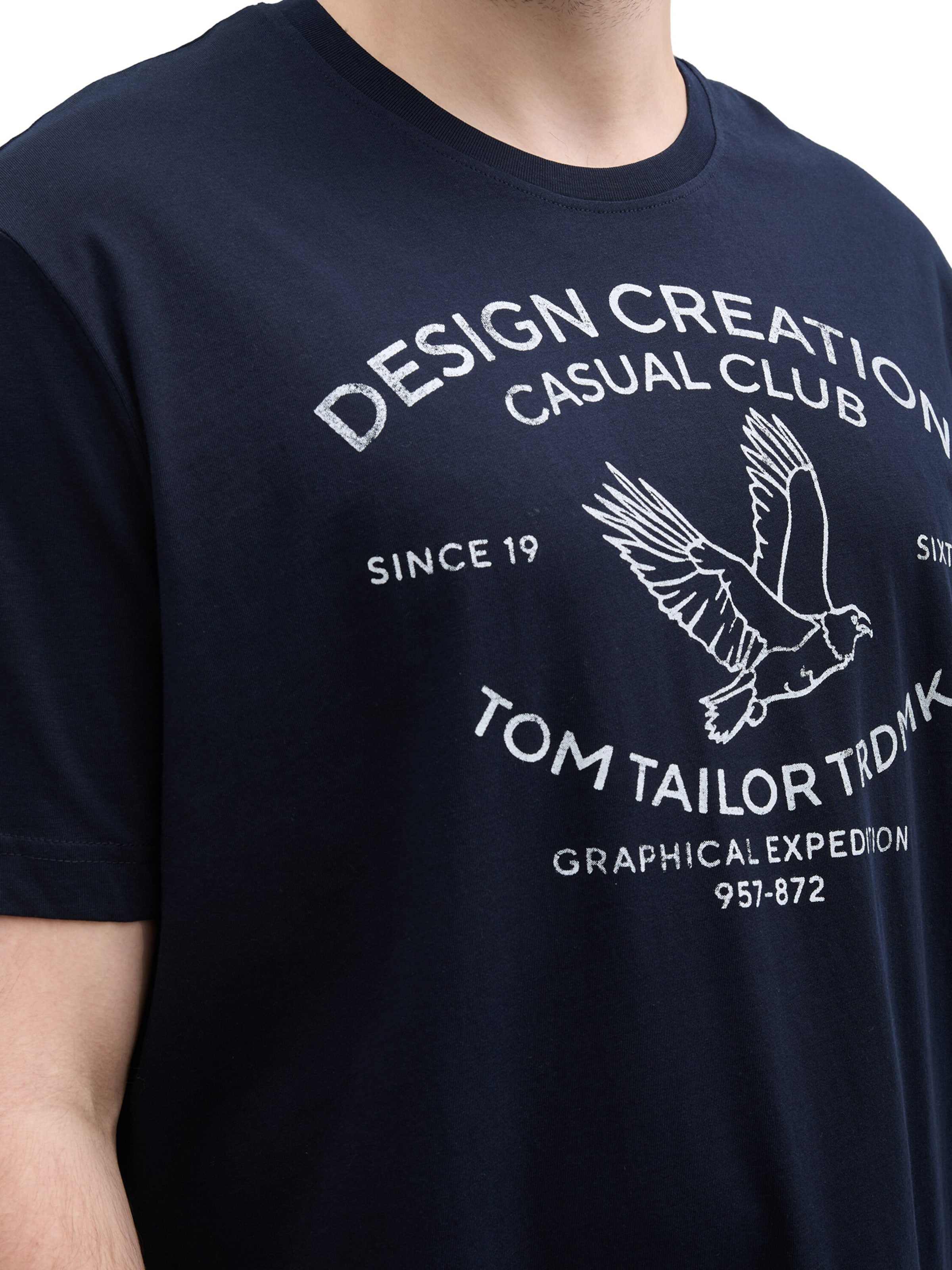 TOM TAILOR Men + Bluser & t-shirts i blå