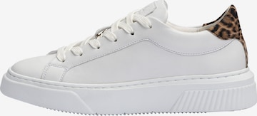 Baskets basses 'MODO' LLOYD en marron : devant