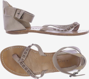 Liebeskind Berlin Sandals & High-Heeled Sandals in 38 in Grey: front