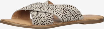 Kickers Mules in Beige: front