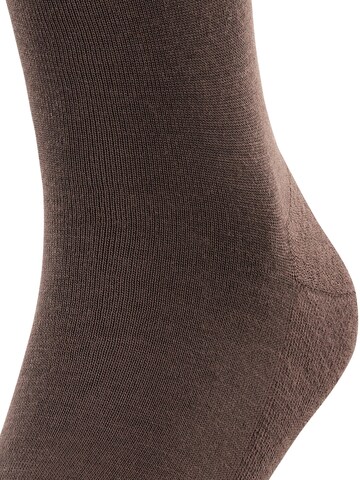 FALKE Knee High Socks 'Airport Plus' in Brown