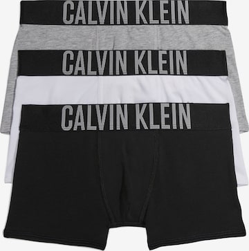 Sous-vêtements Calvin Klein Underwear en gris : devant