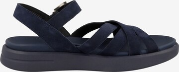 GEOX Sandalen met riem 'Xand' in Blauw