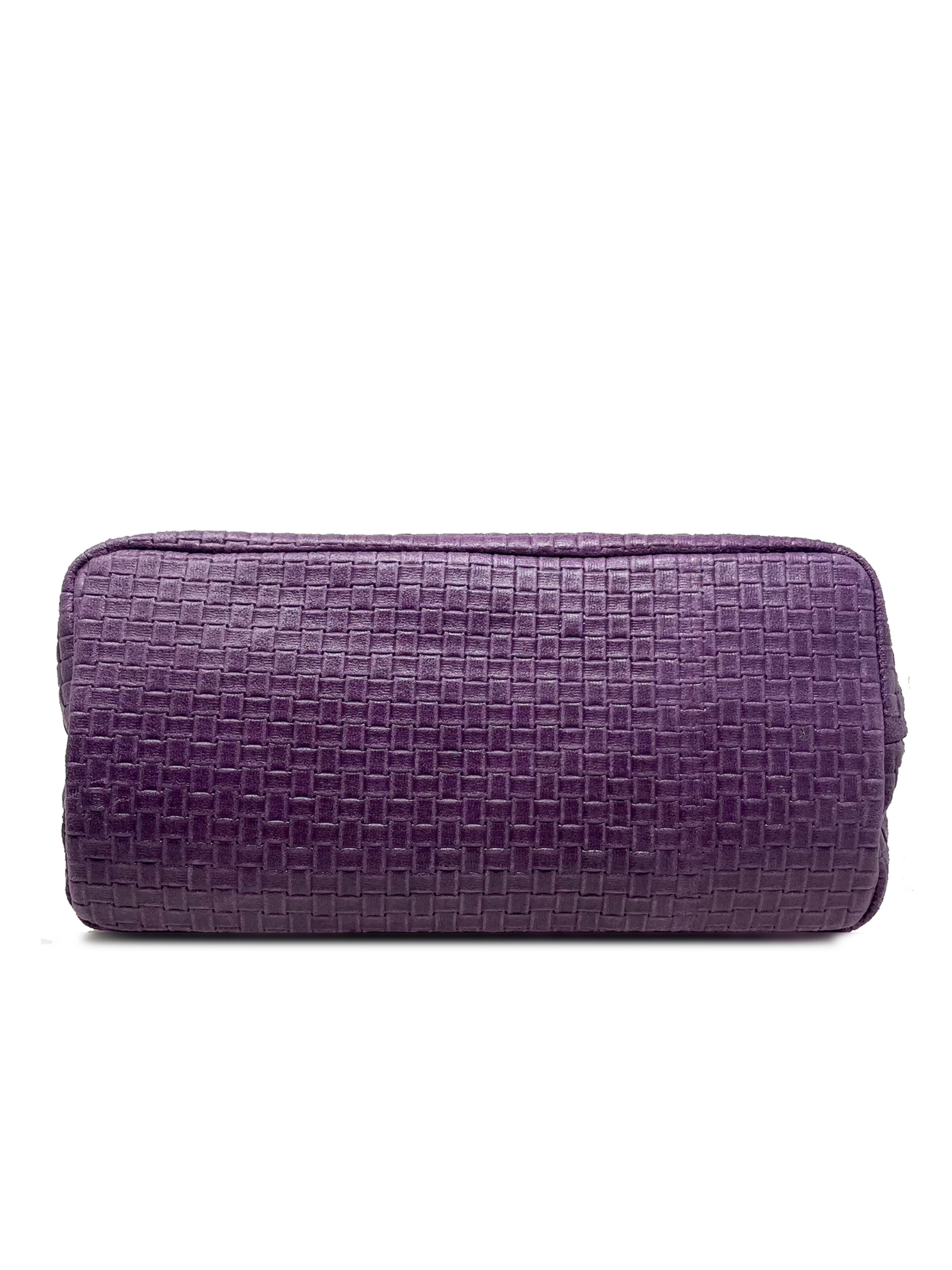 CHICCA BORSE Handbag in Purple